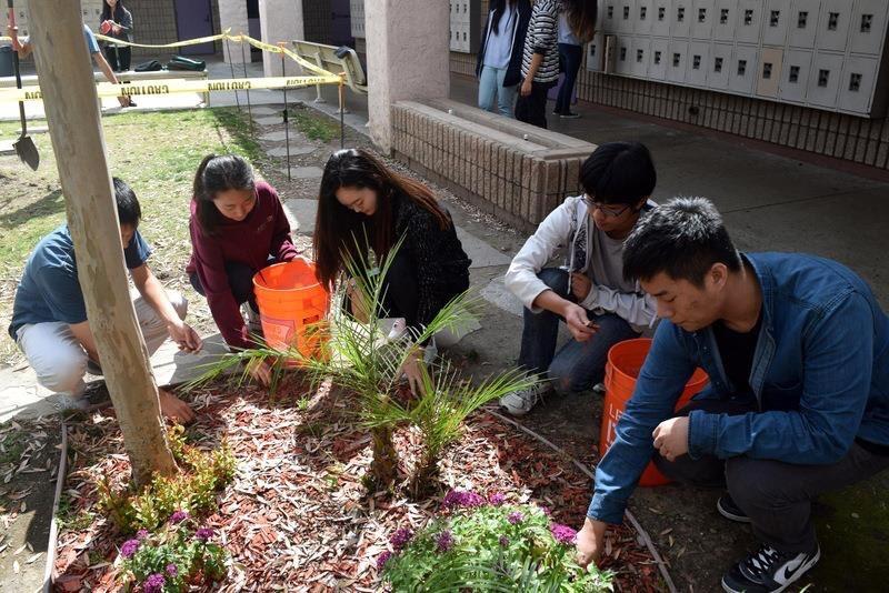 Students in David Hong’s third period class preps the land for drought resistant plants by replacing grass and turf with mulch, which has since been completed.
