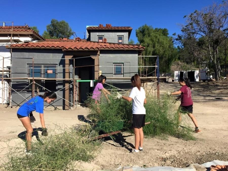 DBHS volunteer club Habitat for Humanity meets up at nearby cities to construct shelters for the needy, as well as participating in a wide array of activities including Shanty Town in which the members experience a day as a homeless person.
