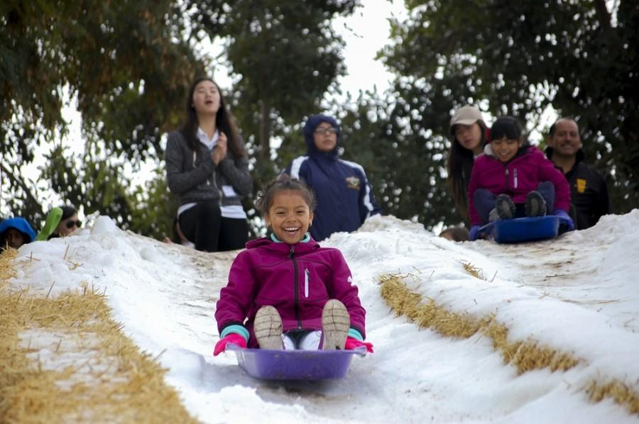 Children sled down a hill at Pantera Park during the annual Diamond Bar Show Festival on Jan. 16.