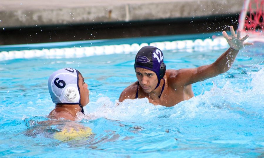 Brahmas rise to top of the pool