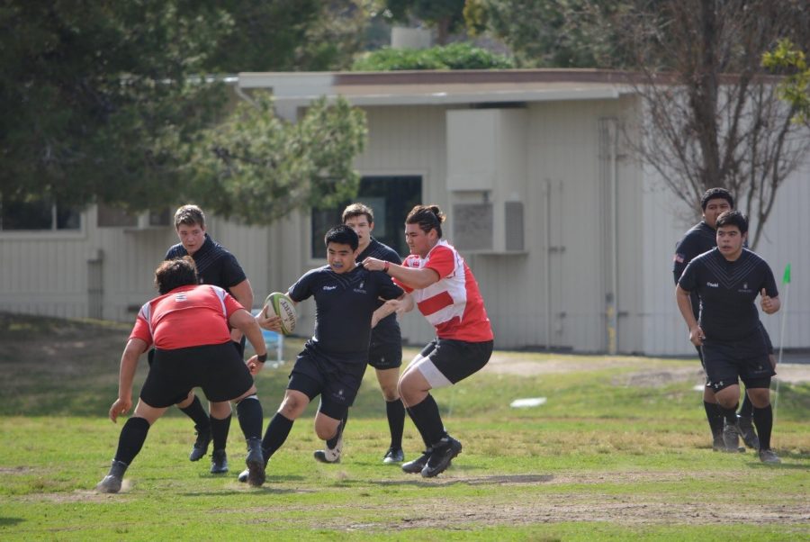 Sophomore Kurt Sakata found his interest in the sport over two years ago when he first saw a rugby match on TV.