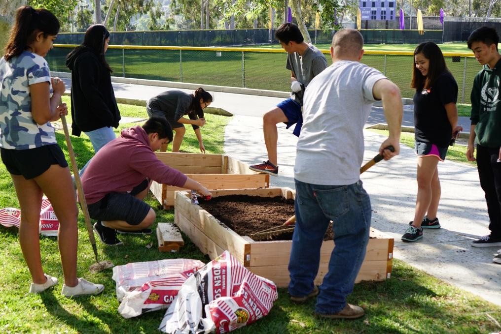 Members of Seeds of Wellness work together on the garden for their project.
