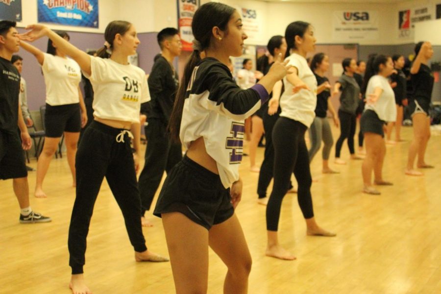 Members of the DBHS Dance Company will teach children at the youth camp.