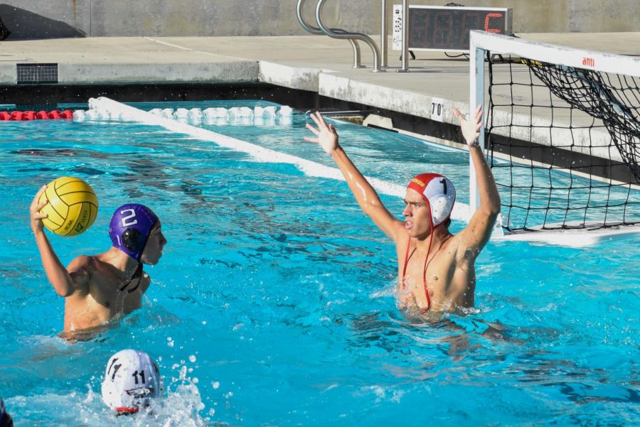Water polo surges past competition